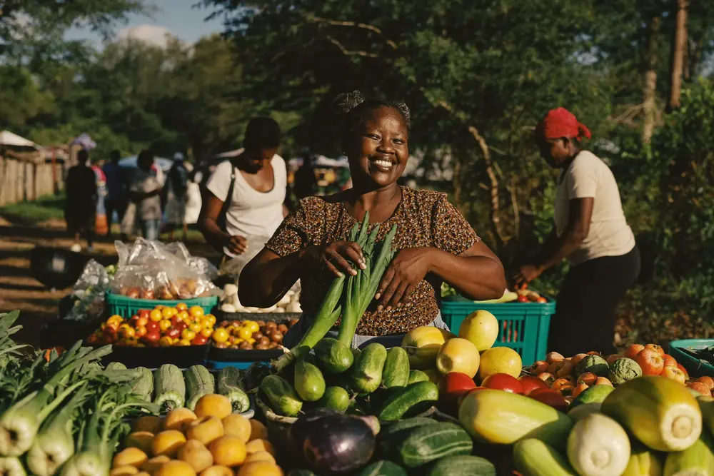 Micro business loans